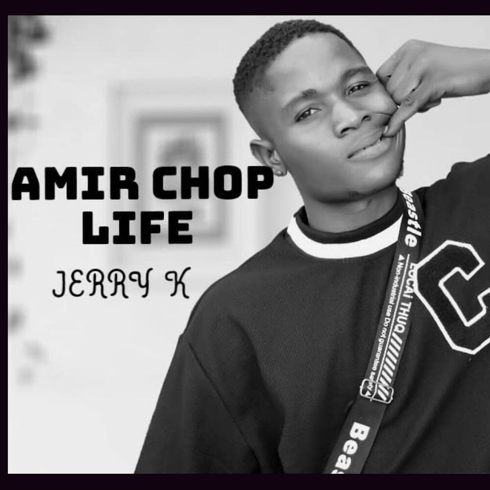 Picture of Amir Chop Life (Sped up)
