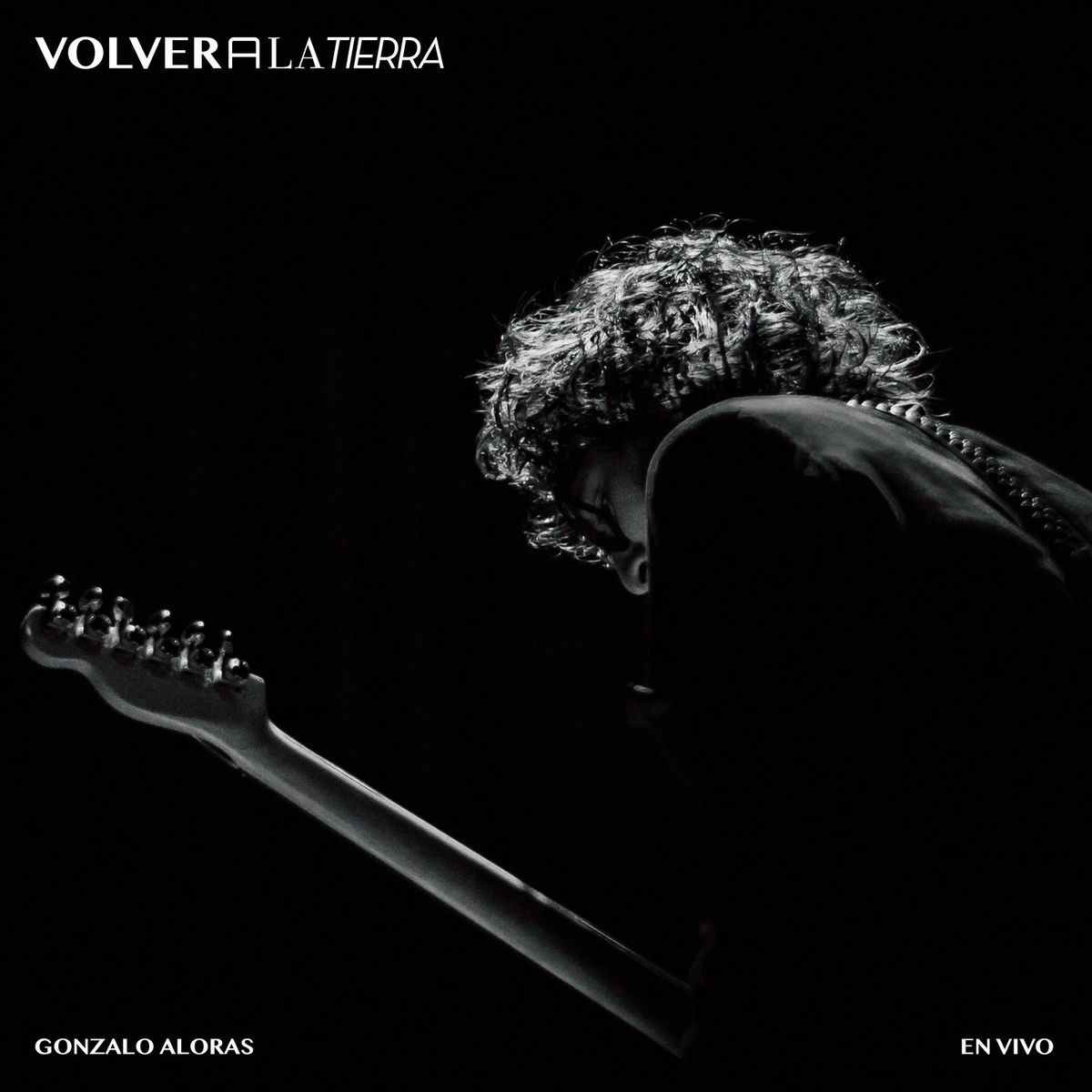 Album cover of Volver a la Tierra (En Vivo)