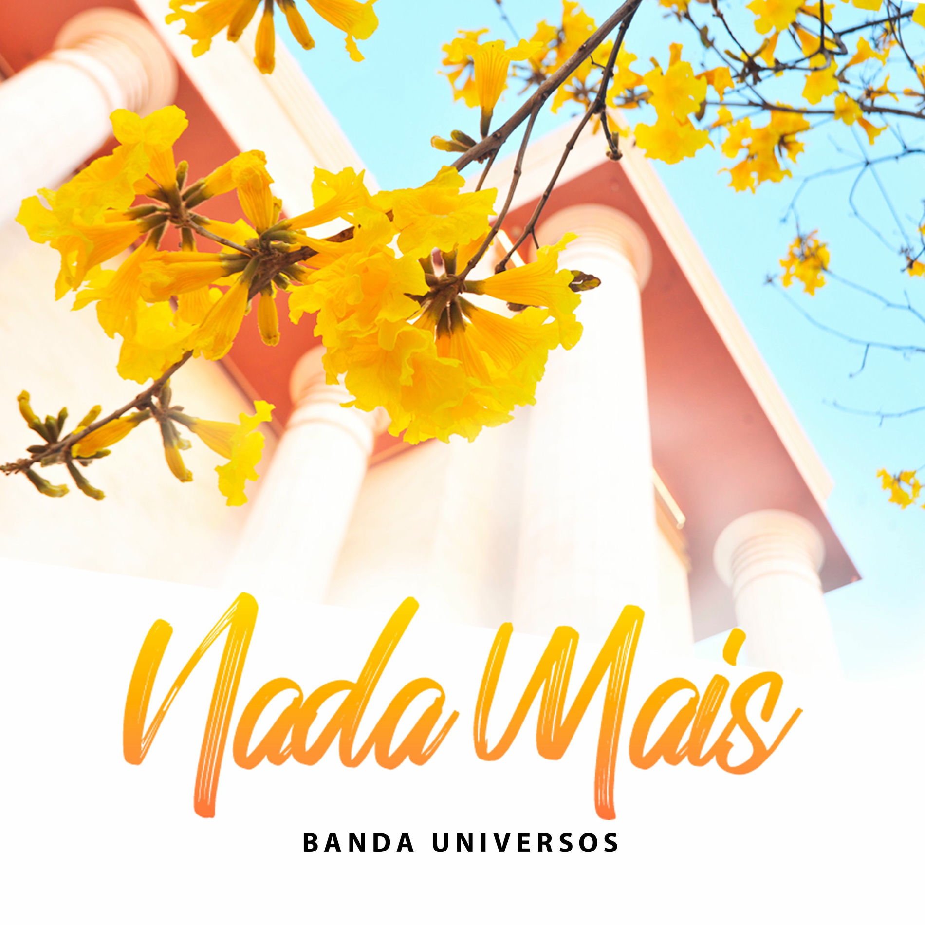 Album cover of Nada Mais