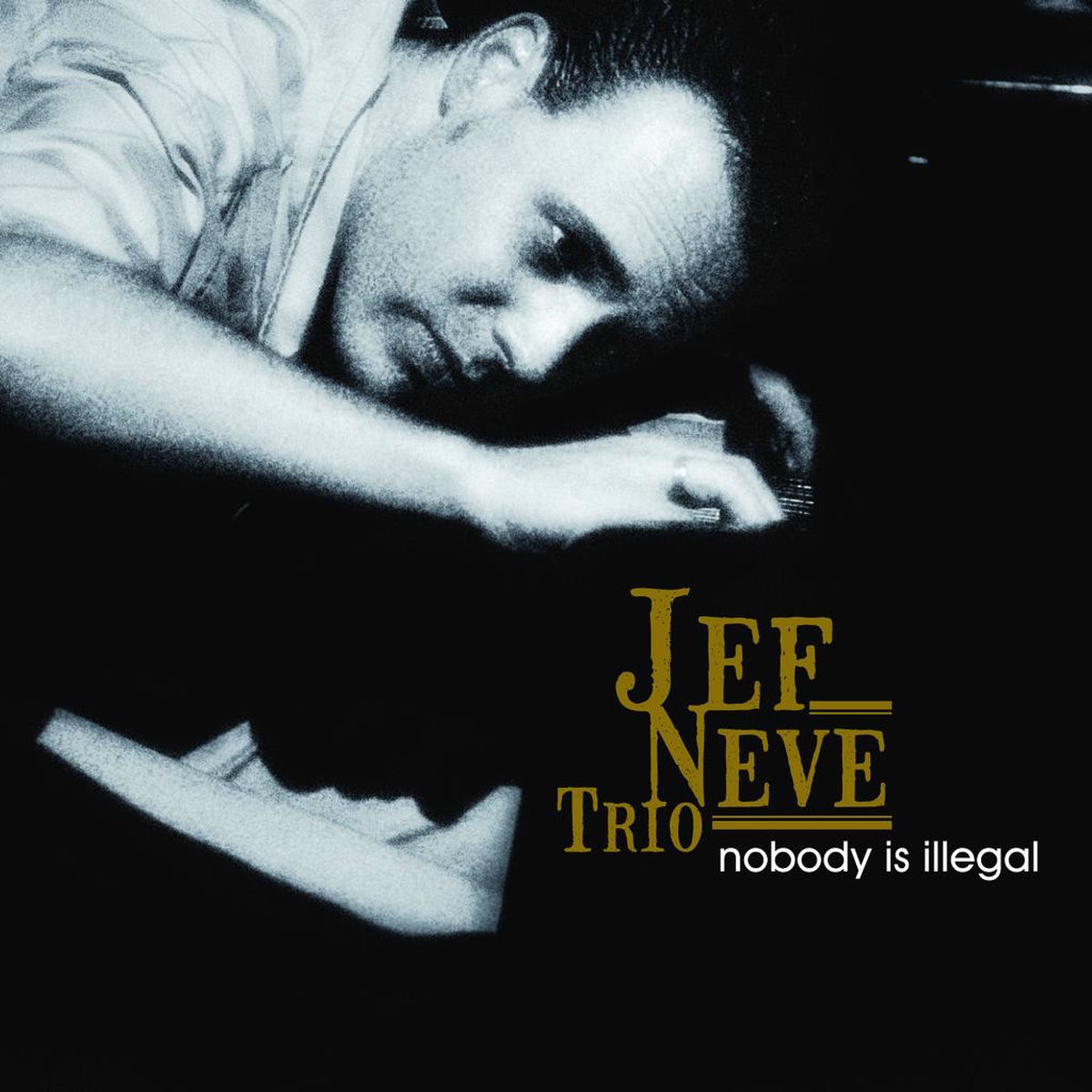 Album cover of Nobody Is Illegal