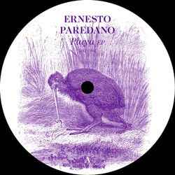 Cover of Playa