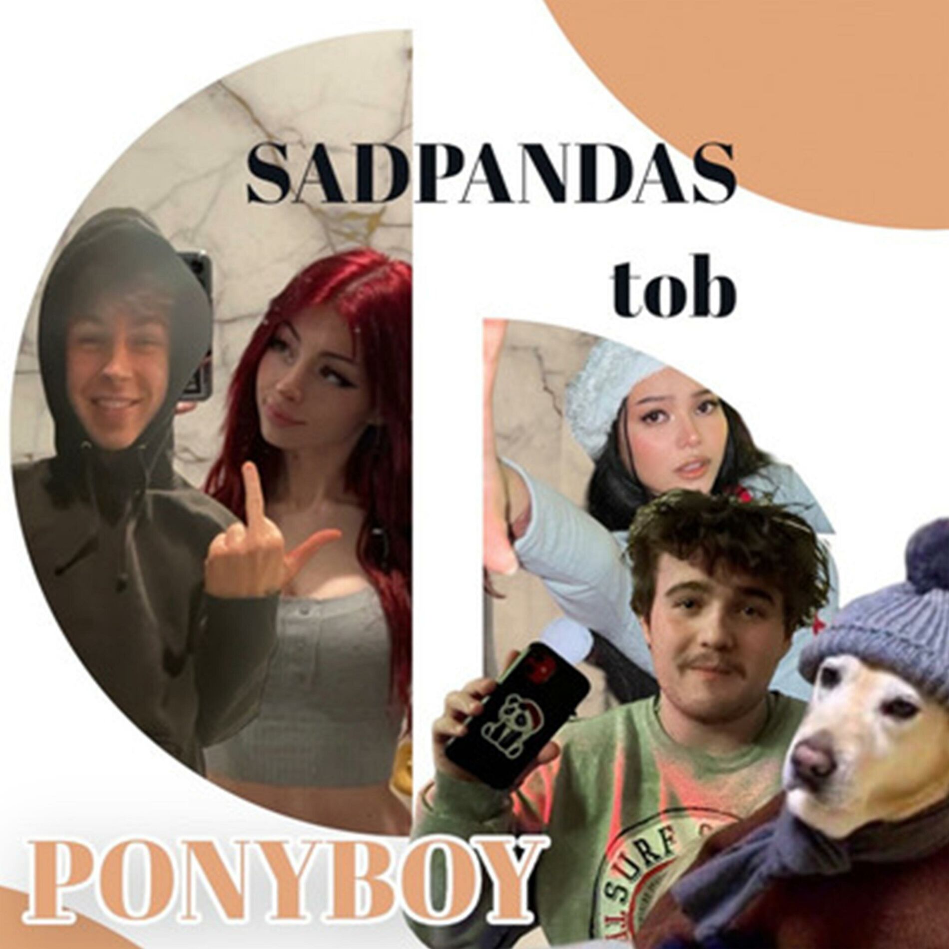 Album cover of Ponyboy (feat. todd)