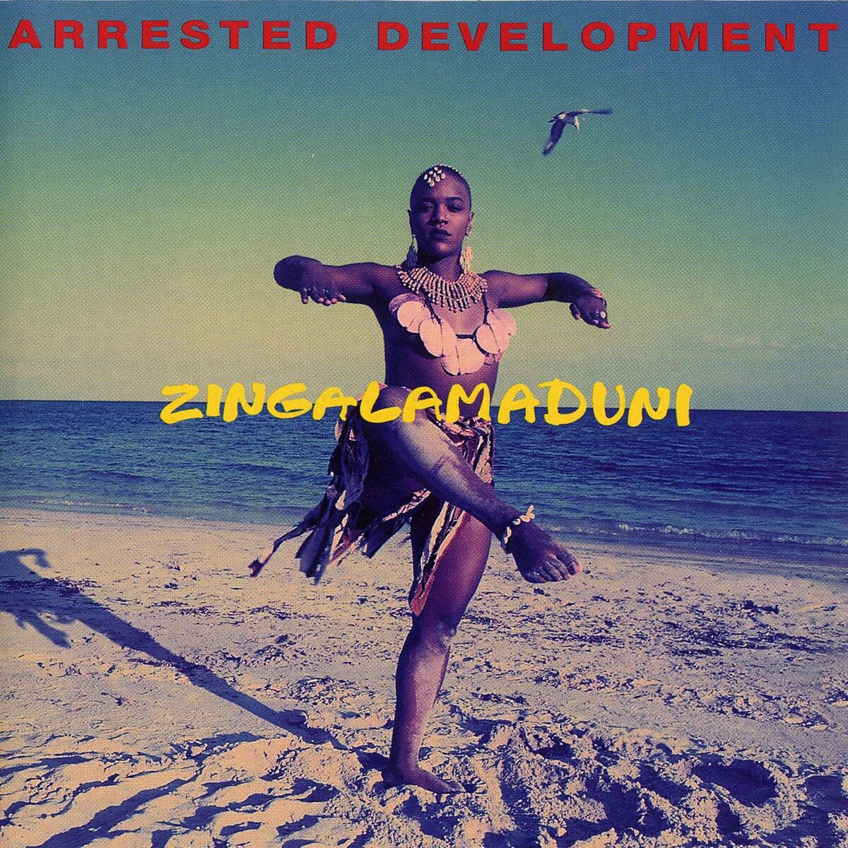 Album cover of Zingalamaduni