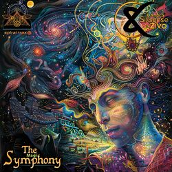 Cover of The Magic Symphony