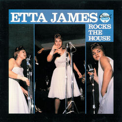 Cover of Rocks The House