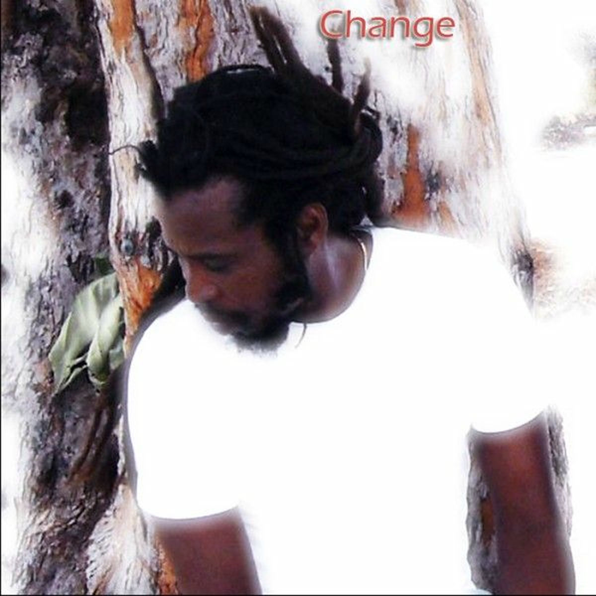 Album cover of Change