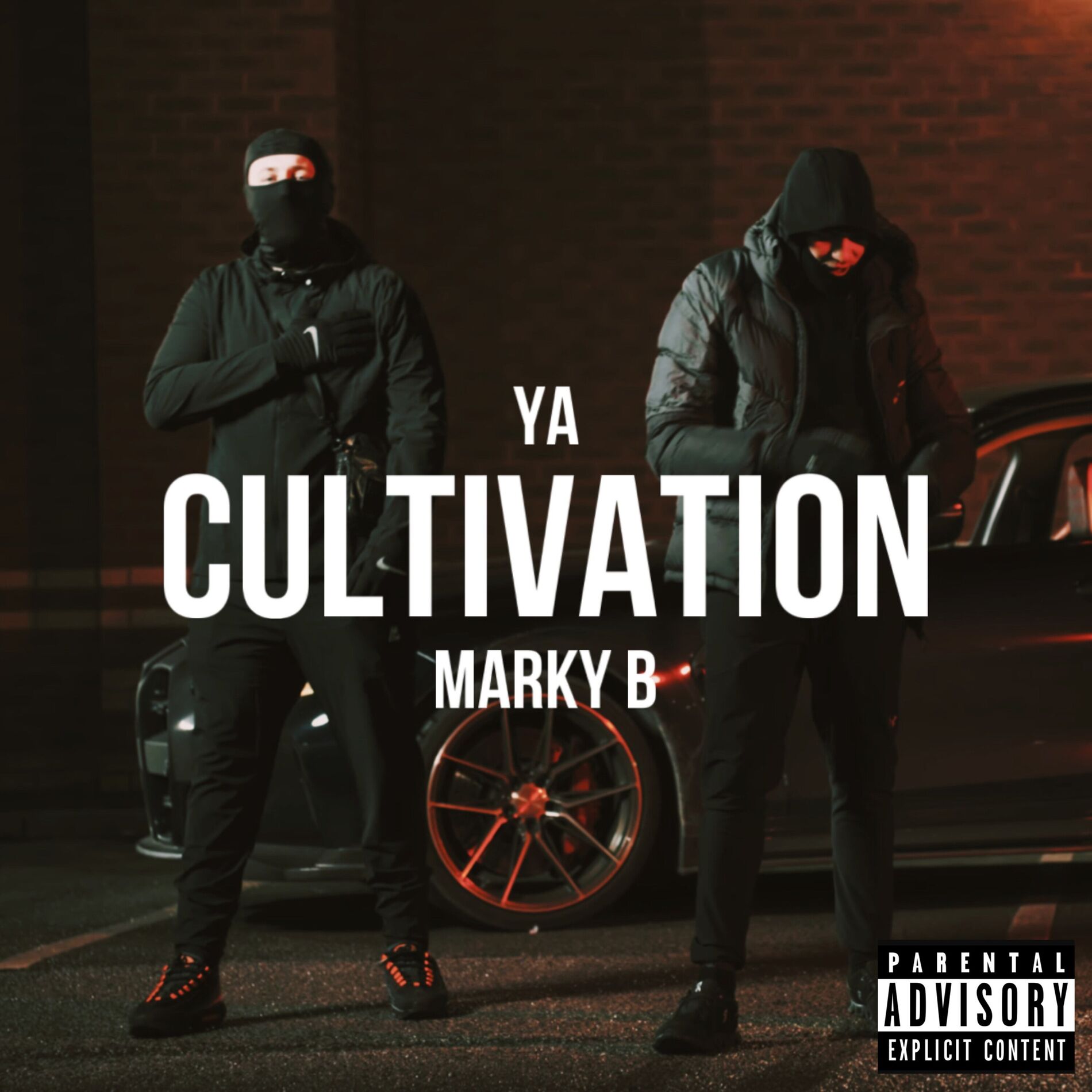 Album cover of Cultivation
