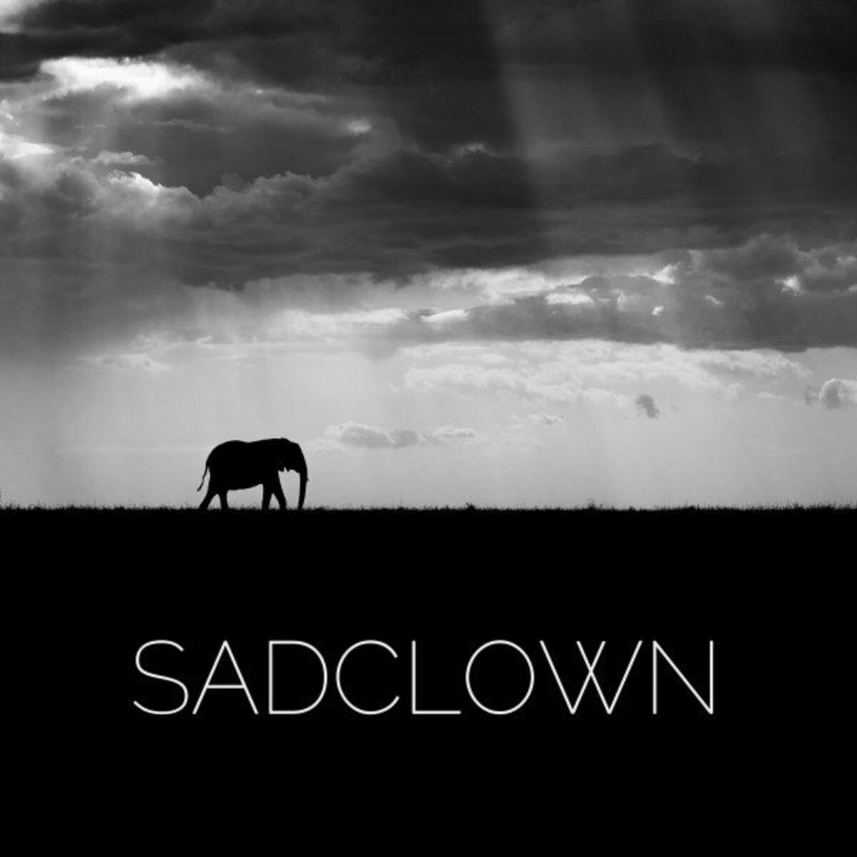 Album cover of Sauvage