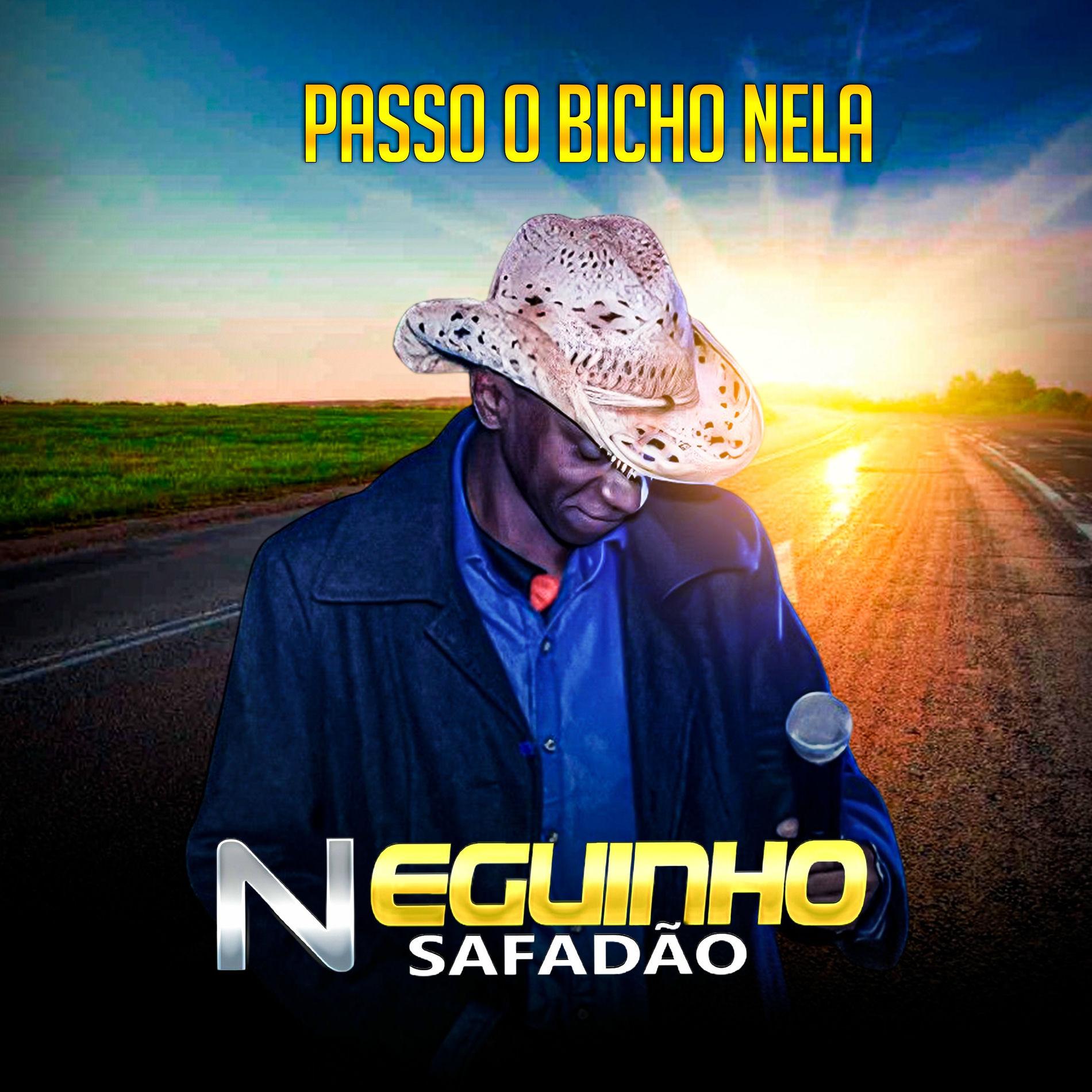 Album cover of Passo o Bicho Nela