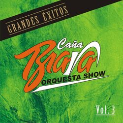 Cover of Grandes Exitos Vol.3