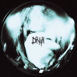 Cover of drain