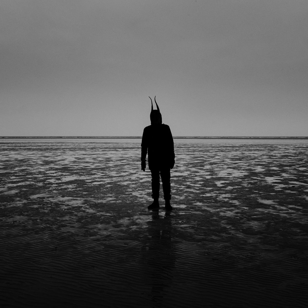 Album cover of Slowland