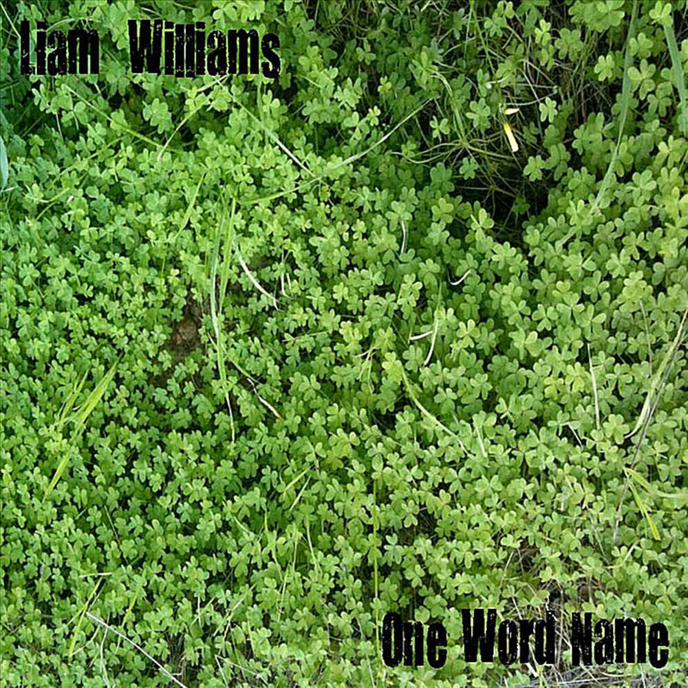 Picture of One Word Name