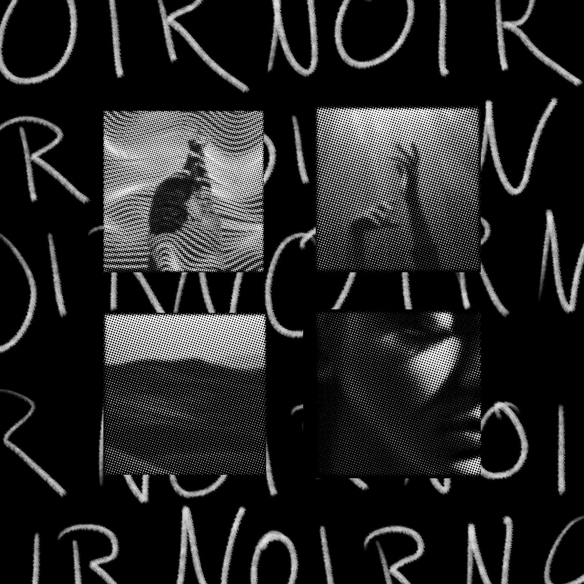 Album cover of NOIR