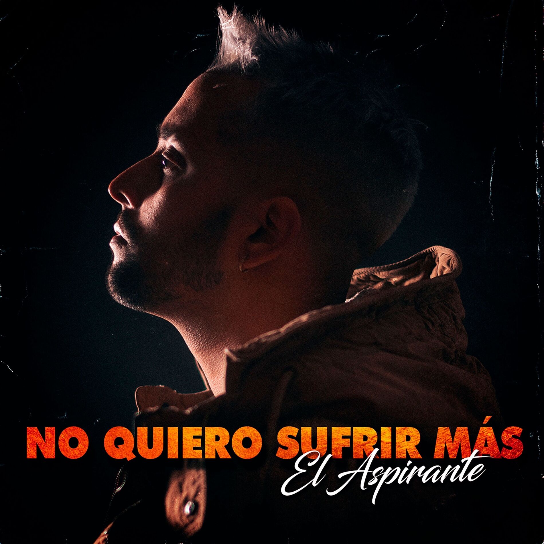 Album cover of No Quiero Sufrir Más