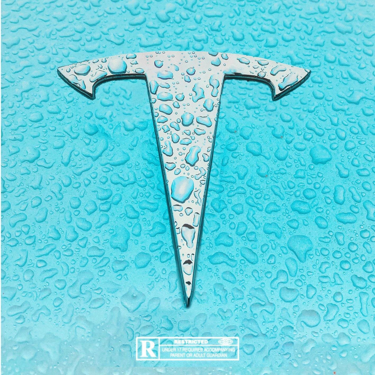 Album picture of TESLA (feat. DaChoyce)