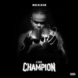 Cover of A True Champion