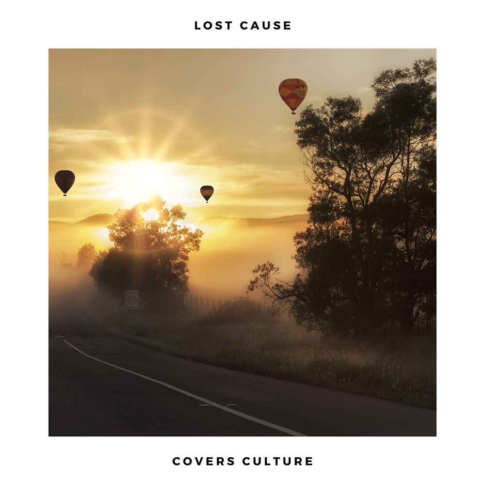 Picture of Lost Cause (Acoustic Covers Versions of Popular Songs)