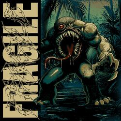 Cover of fragile