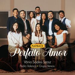 Cover of Perfeito Amor (Playback)