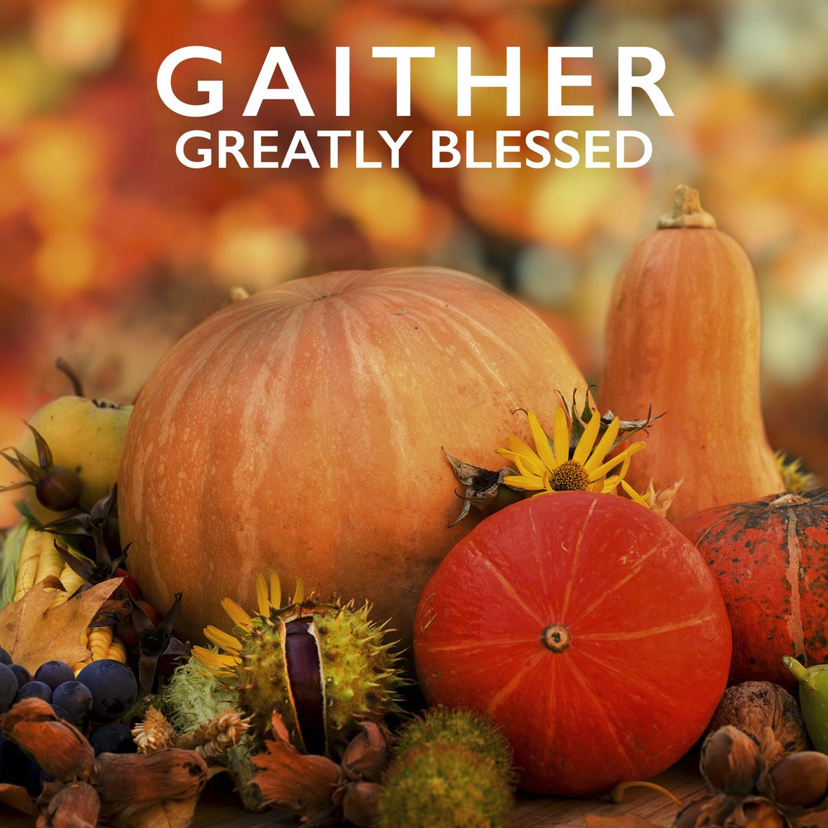 Album cover of Gaither: Greatly Blessed