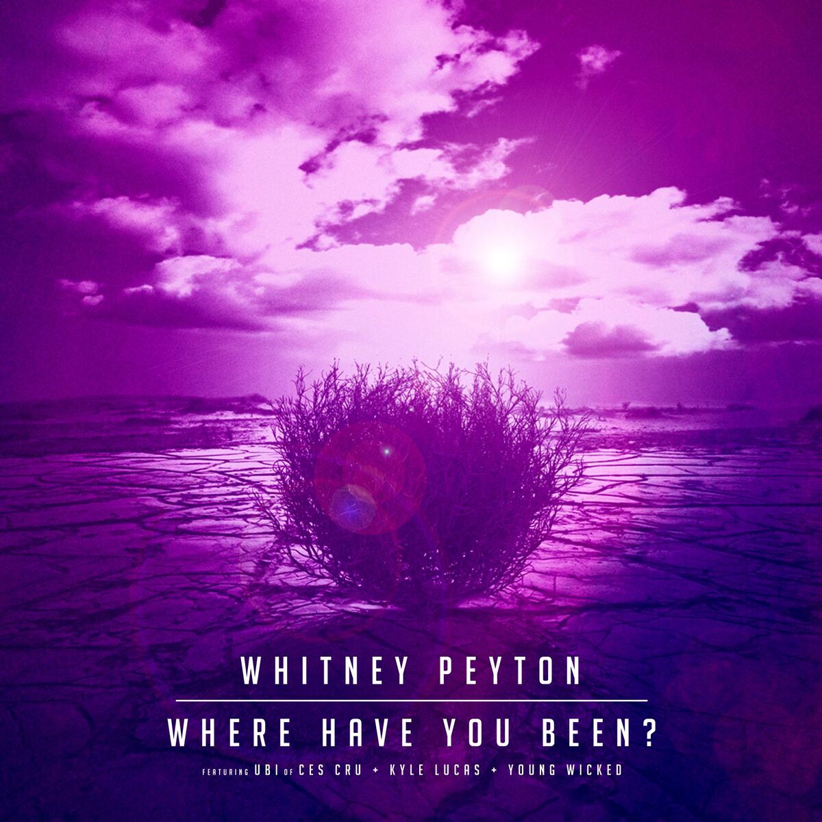 Album cover of Where Have You Been? (feat. UBI, Kyle Lucas & Young Wicked)