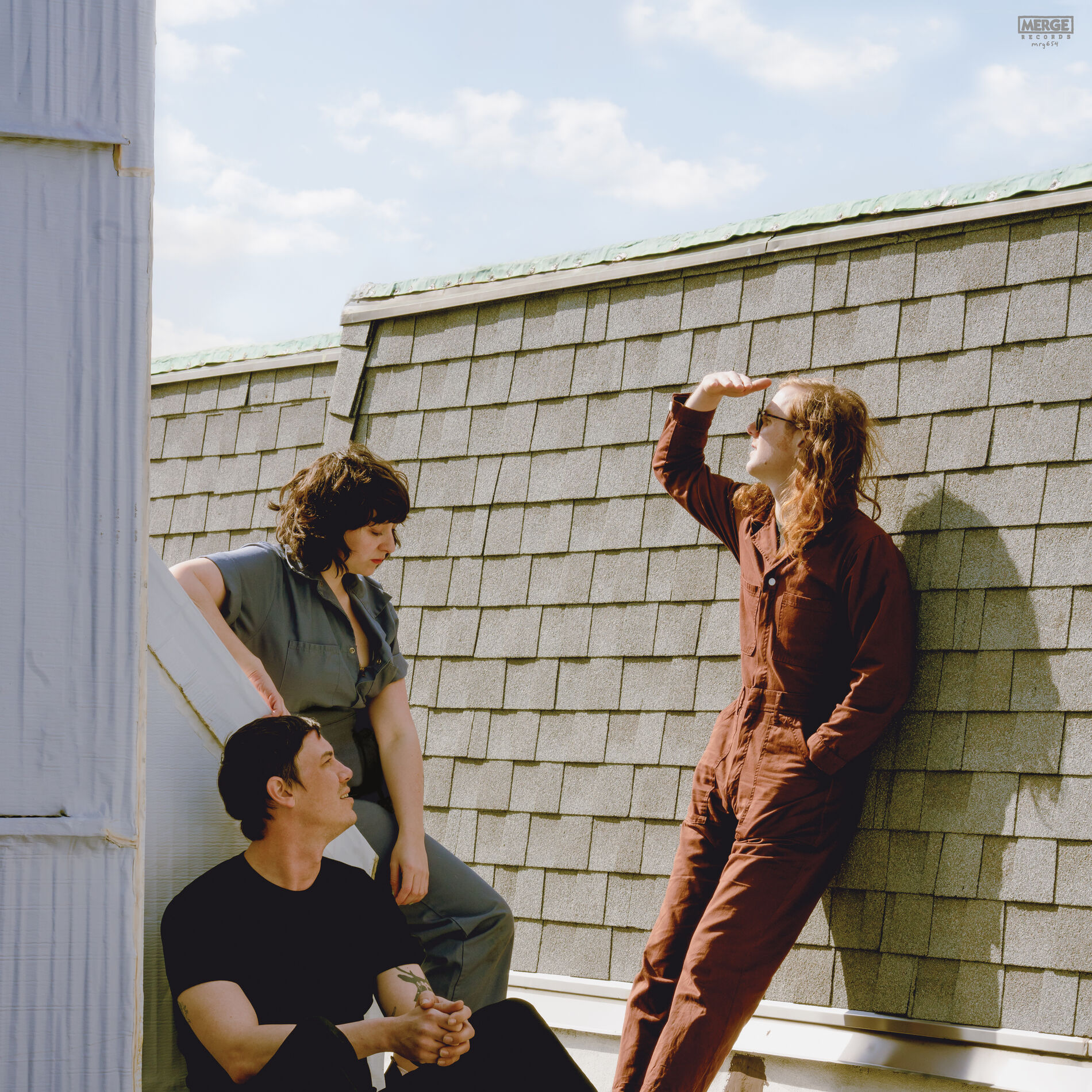 Album cover of Fall into the Sun