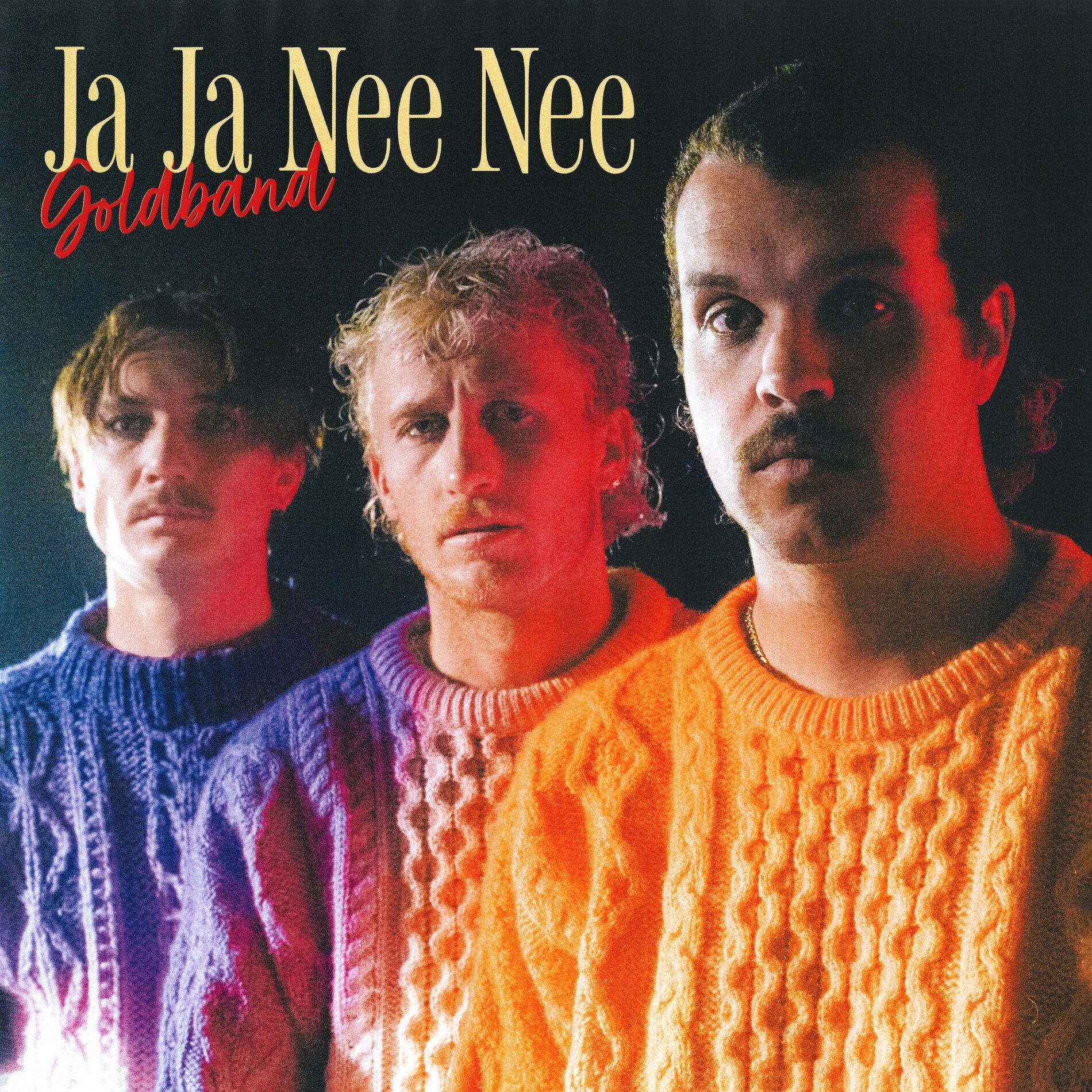 Album cover of Ja Ja Nee Nee