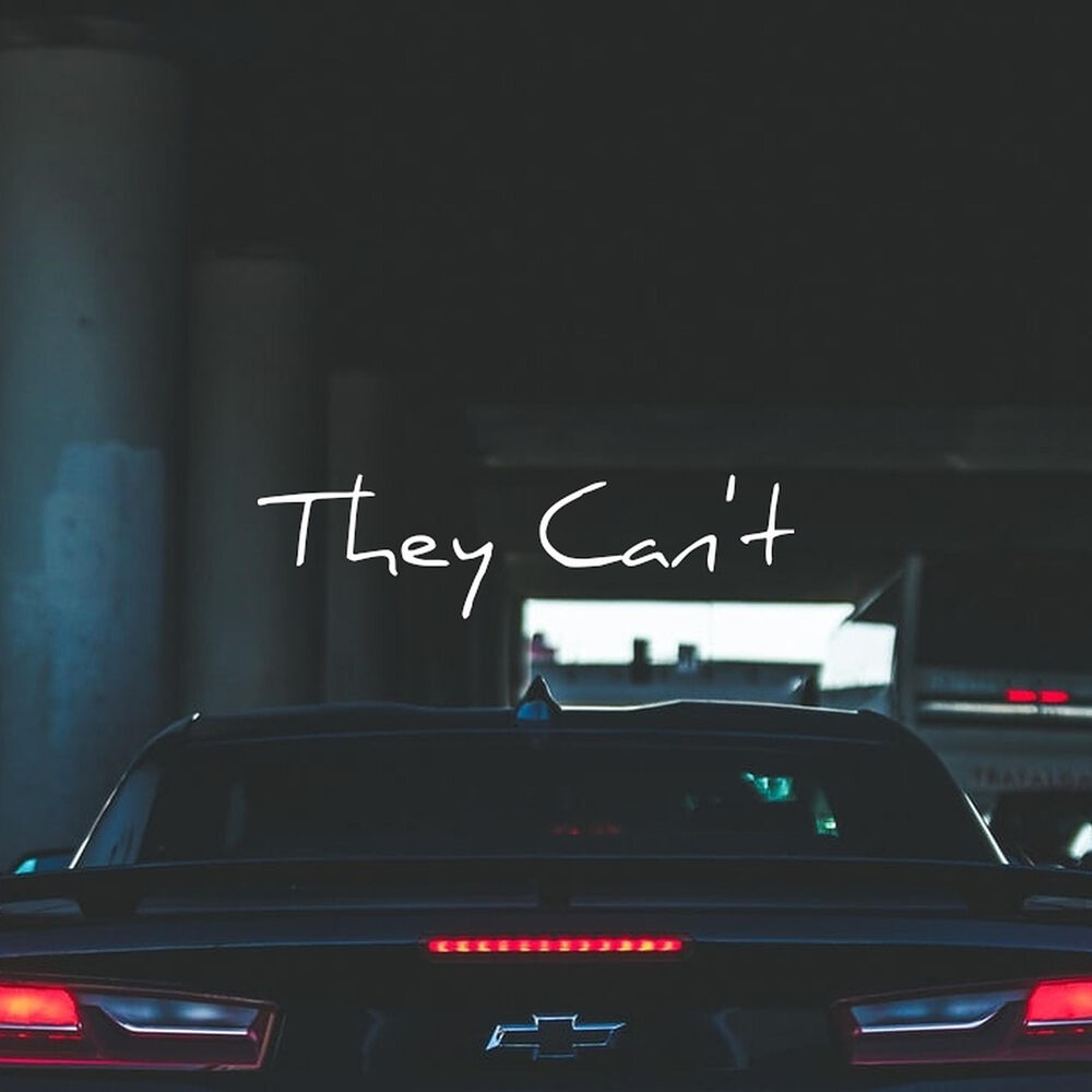 Picture of They Can't