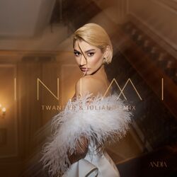 Cover of Inimi (Twander & iulian remix)