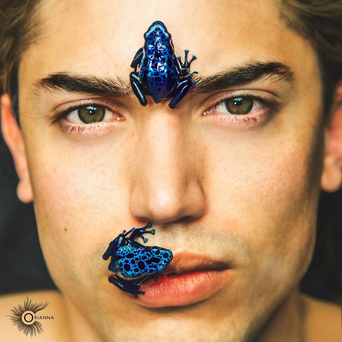 Album cover of Veneno
