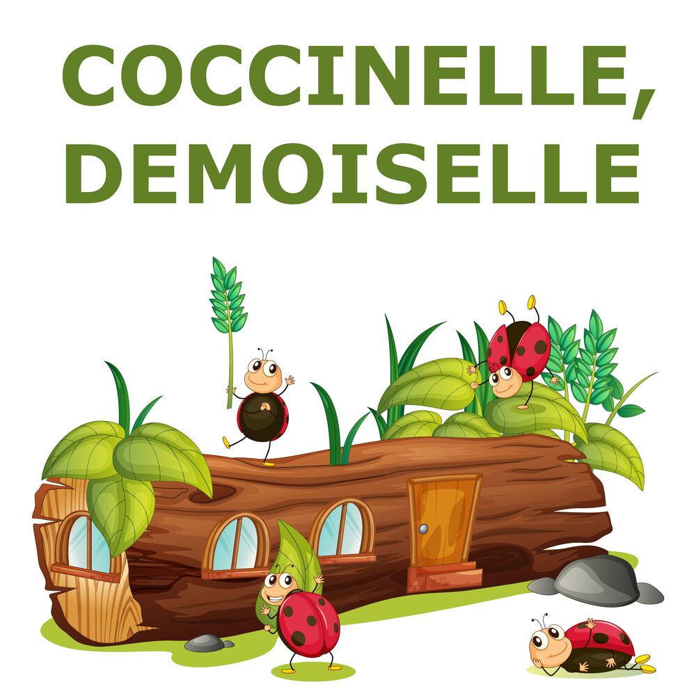 Picture of Coccinelle, demoiselle