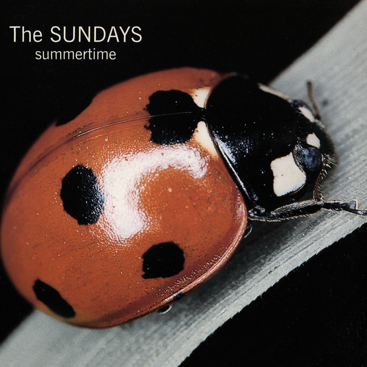 Album cover of Summertime