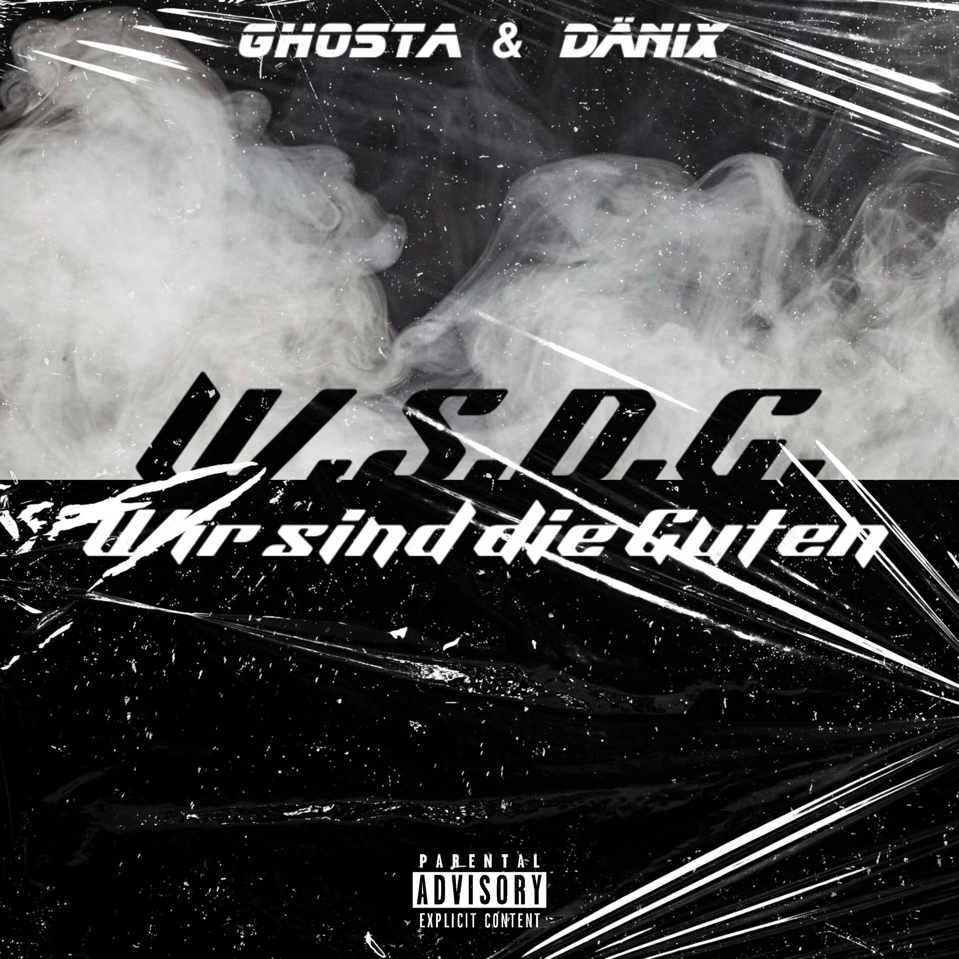 Album cover of W.S.D.G.