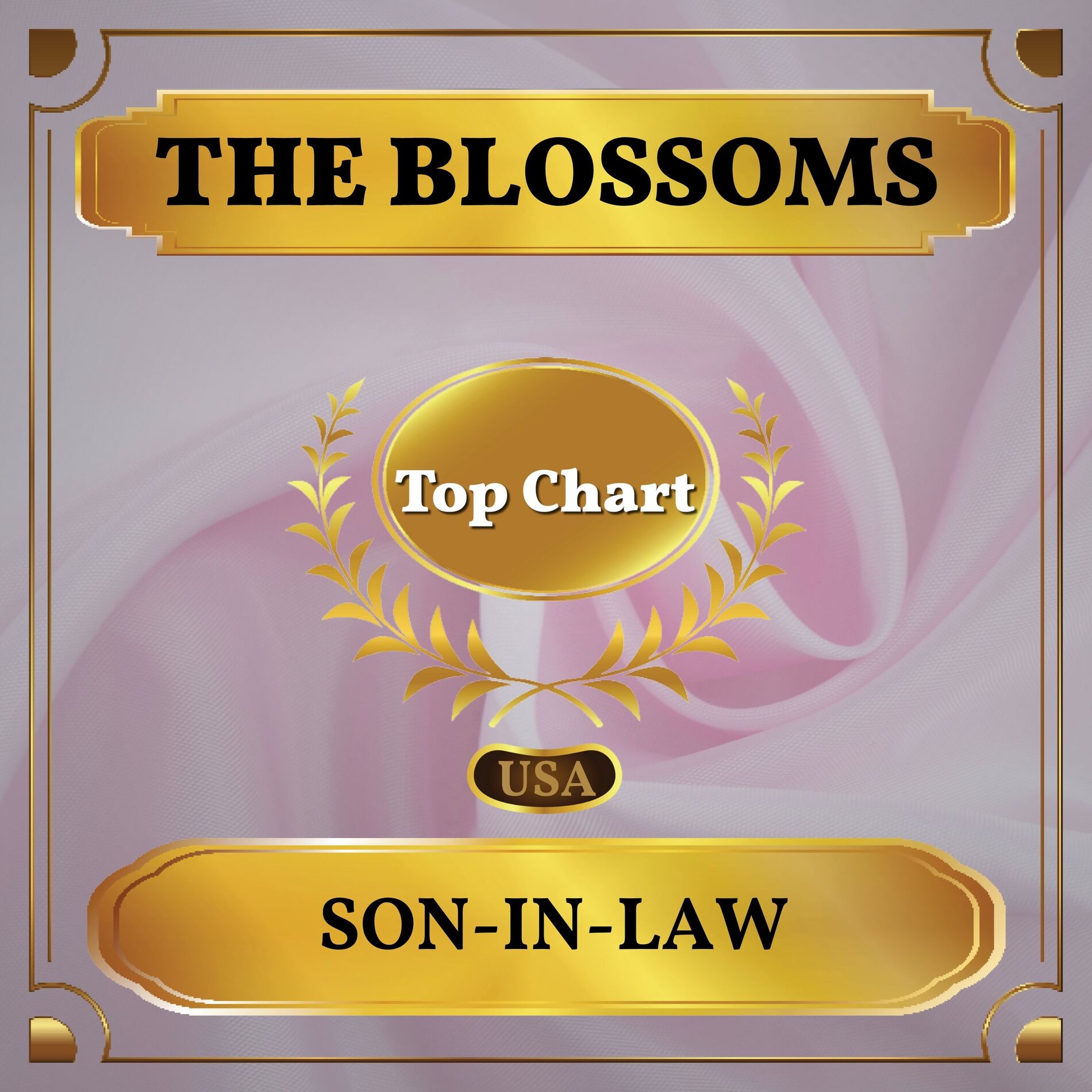 Album cover of Son-in-Law (Billboard Hot 100 - No 79)