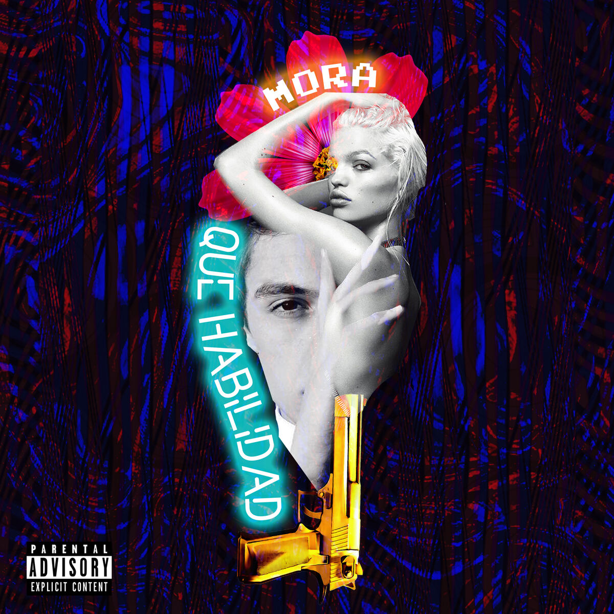 Album cover of Que Habilidad