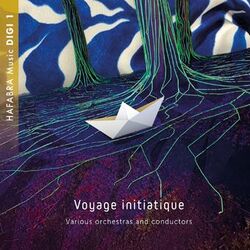 Cover of Voyage initiatique