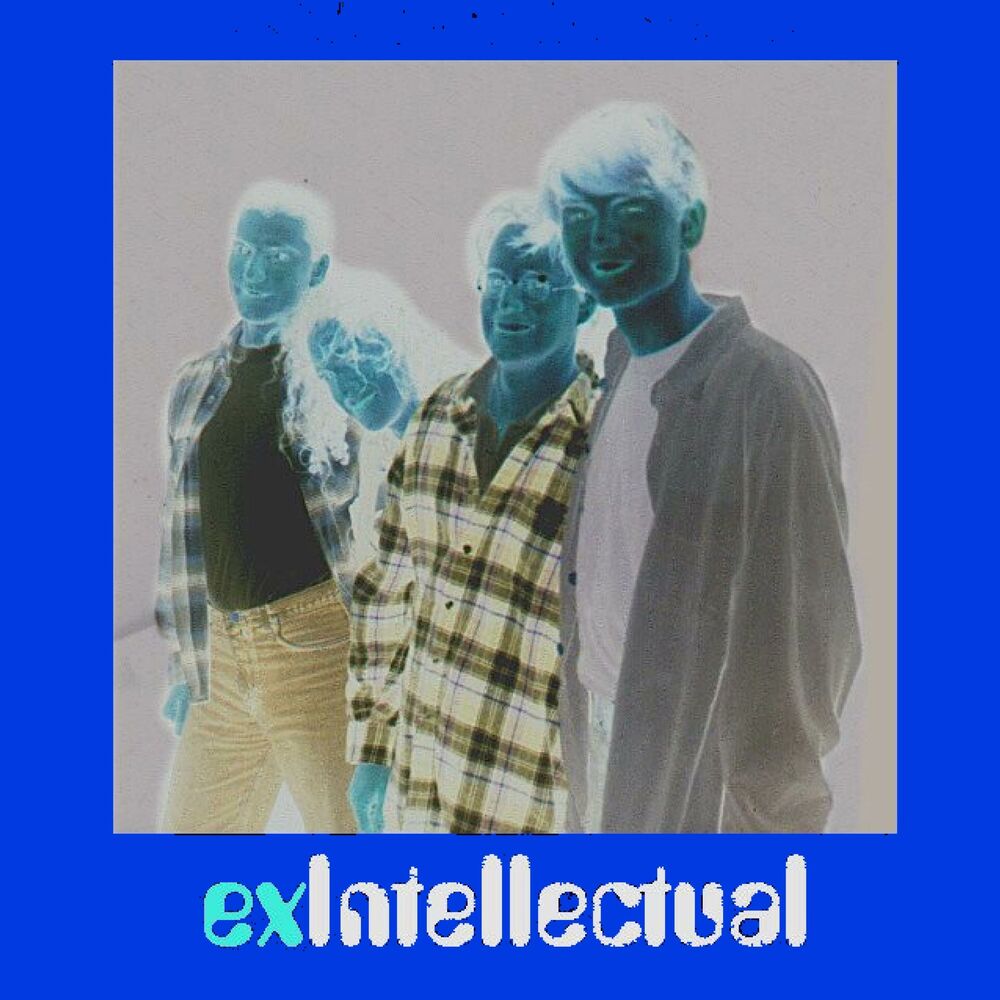 Picture of exIntellectual