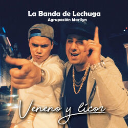 Cover of Veneno y Licor