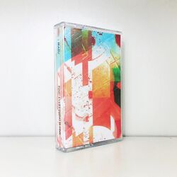 Cover of Fine! Everything Is Fine.