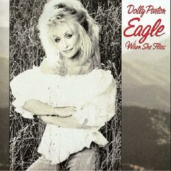 Cover of Eagle When She Flies