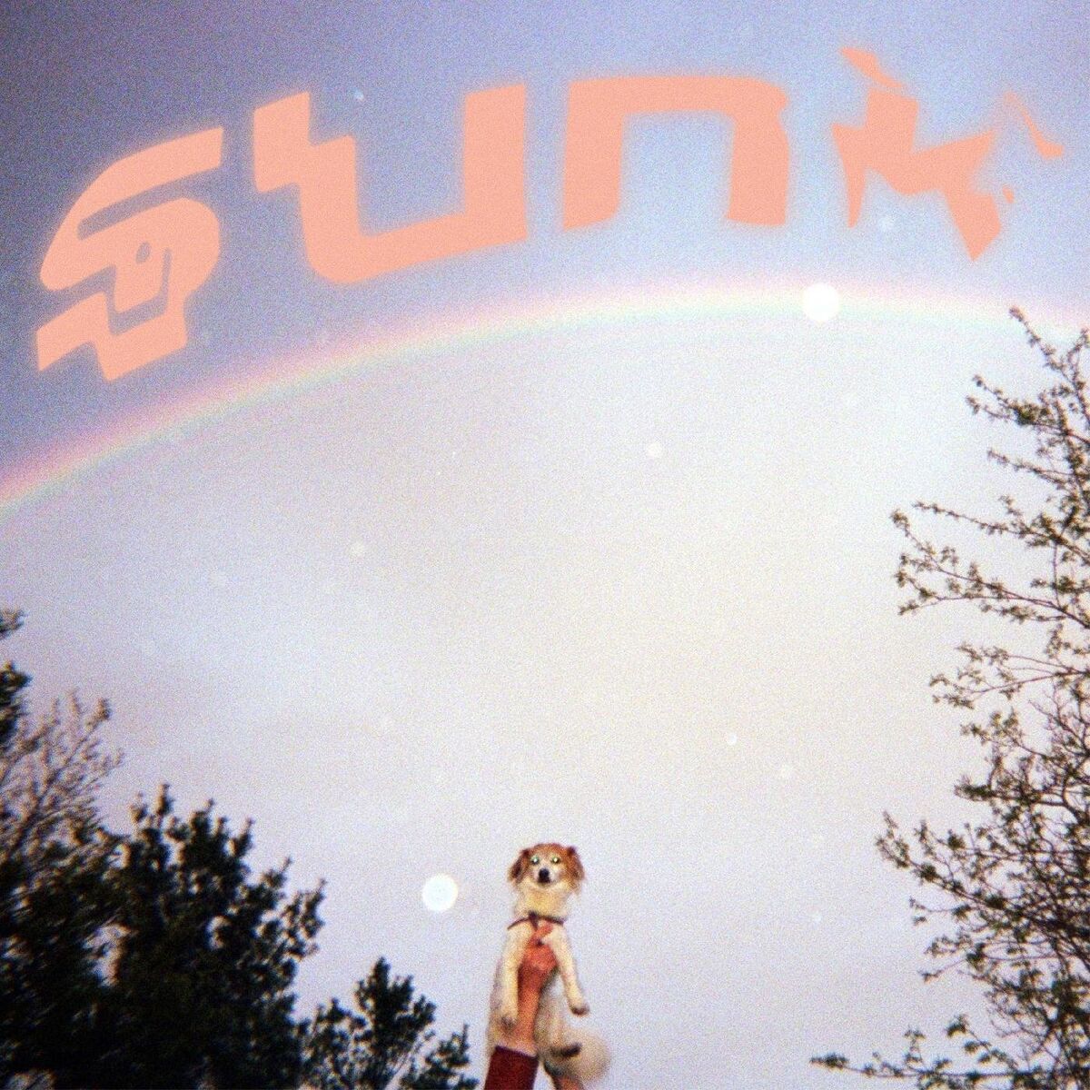 Album cover of Sunk
