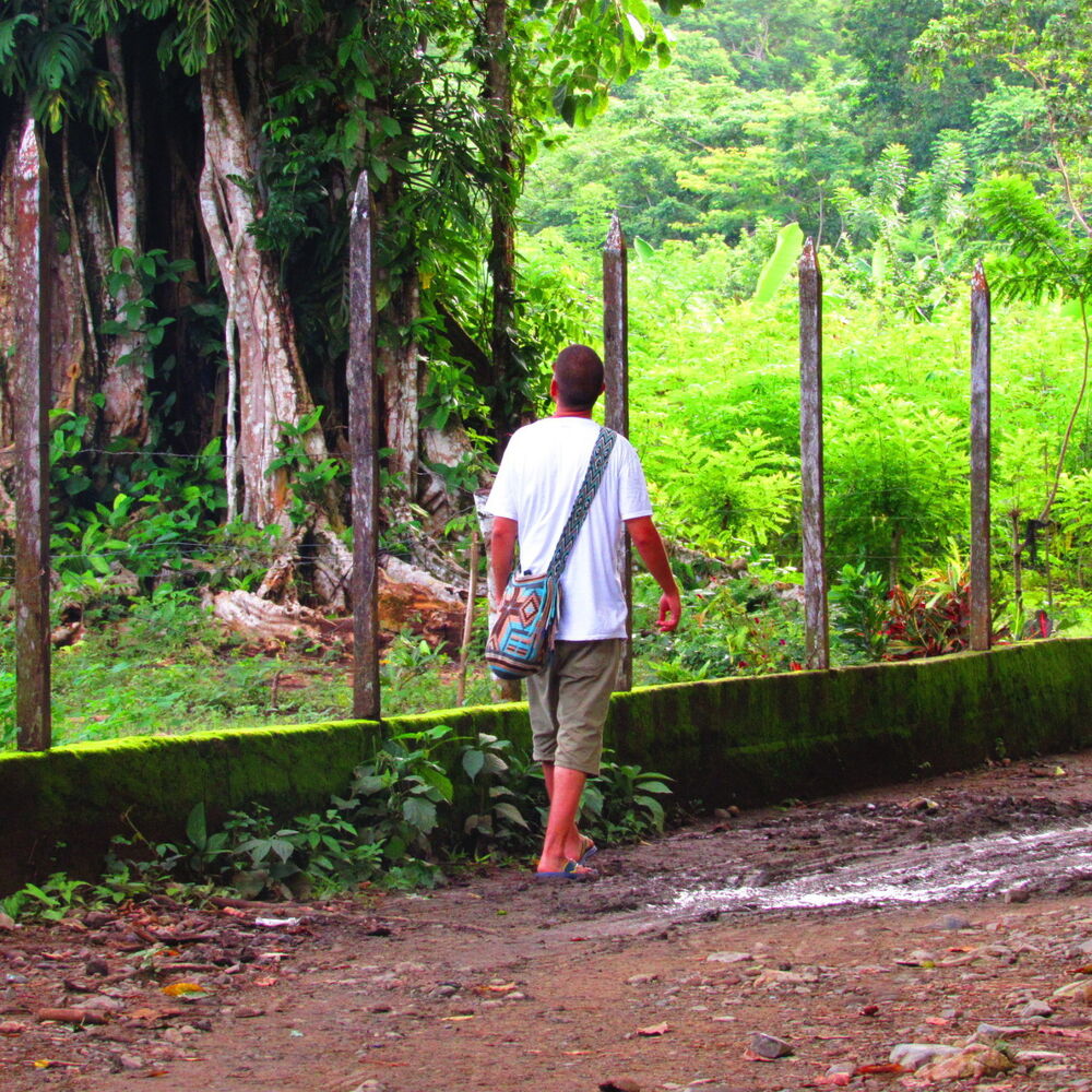 Picture of Regreso al Cero