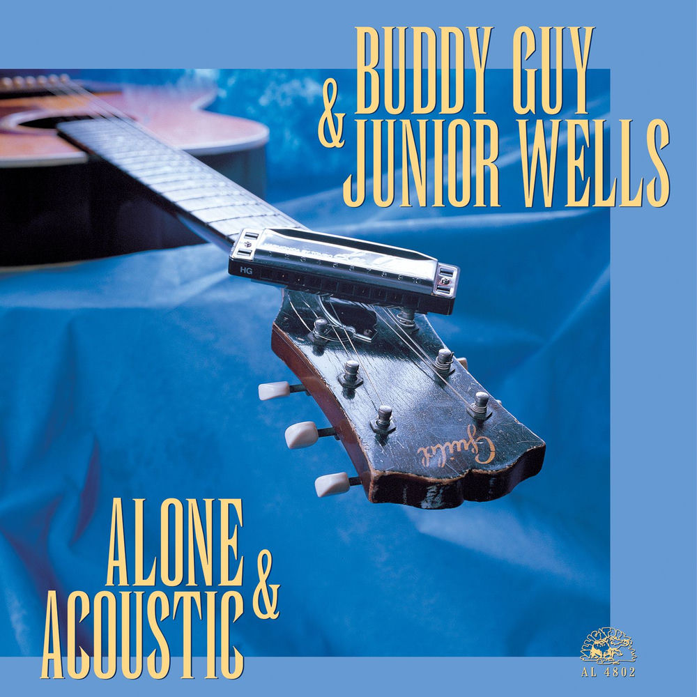 Pochette Alone & Acoustic