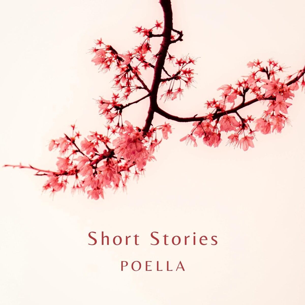 Album cover of Short Stories