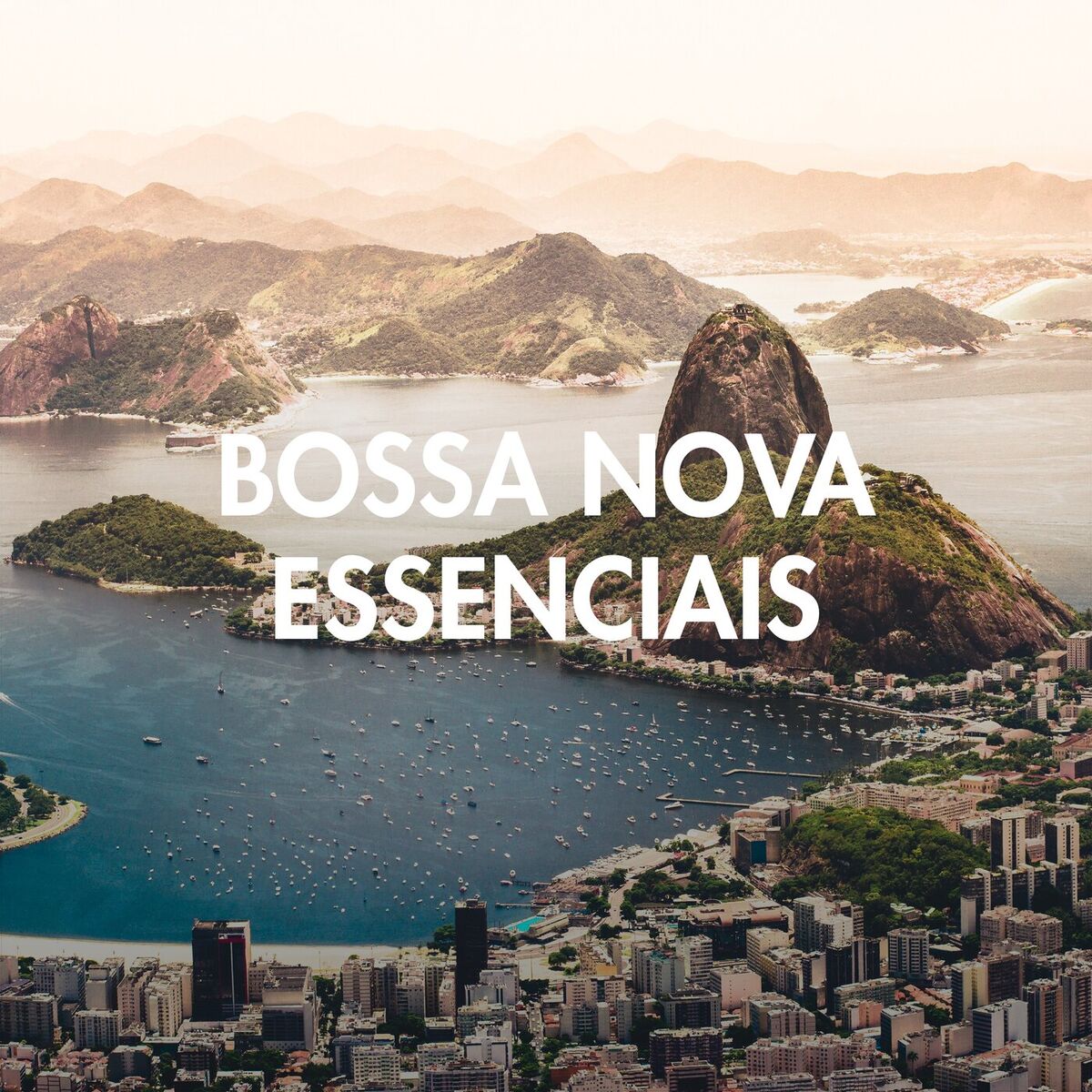 Album cover of Bossa Nova Essenciais