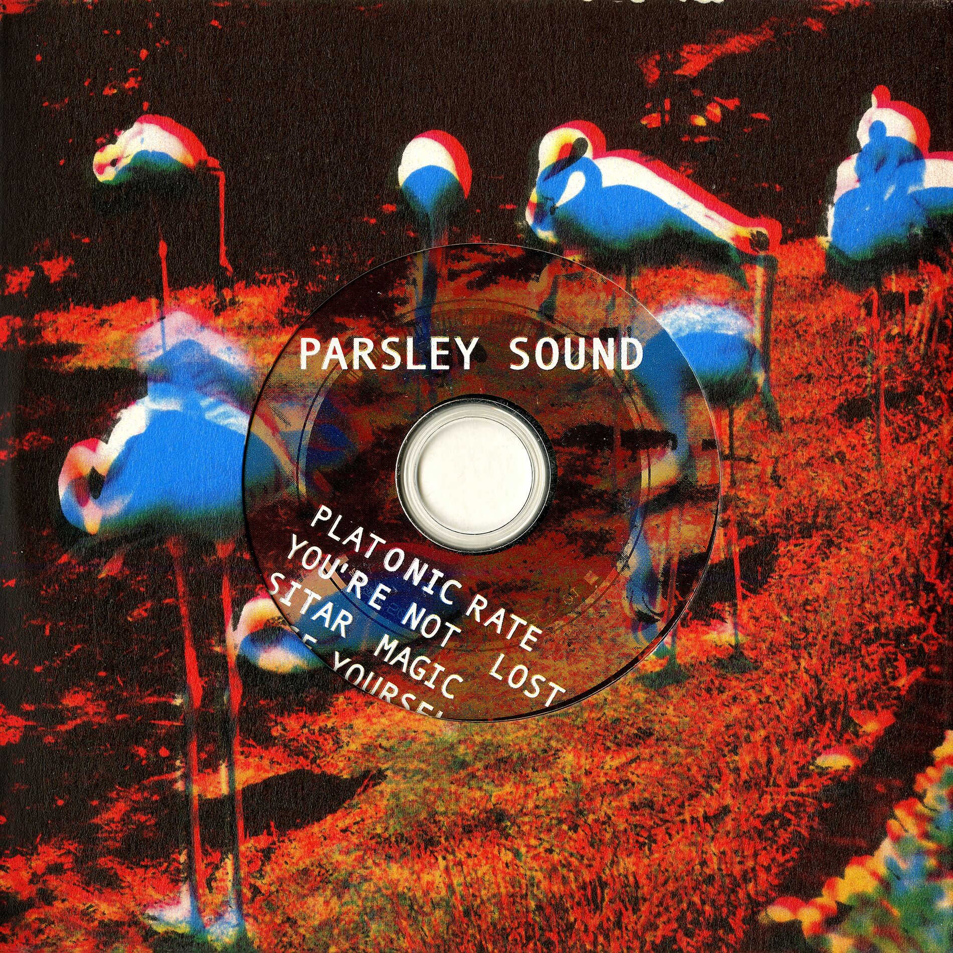 Album cover of Platonic Rate