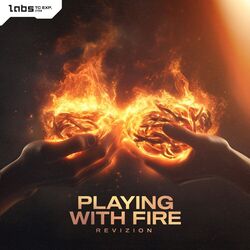 Cover of Playing With Fire