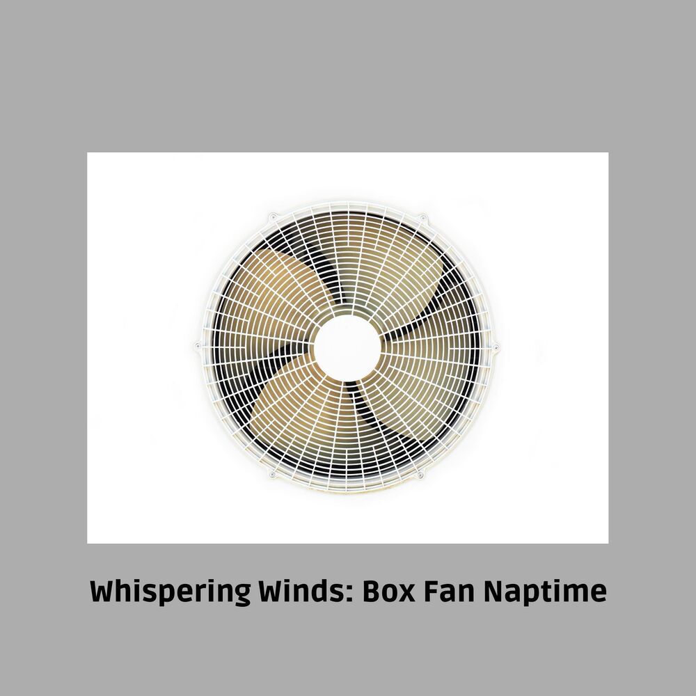 Picture of Whispering Winds: Box Fan Naptime