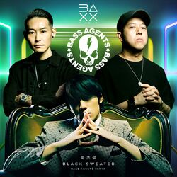 Cover of Black Sweater 黑色毛衣